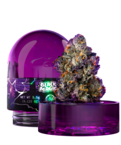 wizard trees black magic